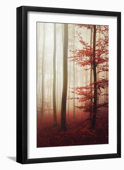 The Way Out-Philippe Sainte-Laudy-Framed Photographic Print