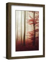 The Way Out-Philippe Sainte-Laudy-Framed Photographic Print