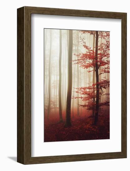 The Way Out-Philippe Sainte-Laudy-Framed Photographic Print