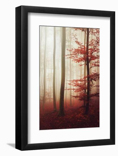 The Way Out-Philippe Sainte-Laudy-Framed Photographic Print