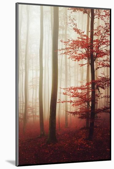 The Way Out-Philippe Sainte-Laudy-Mounted Photographic Print