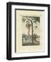 The Way the Blacks in Amerika Skin the Boa-null-Framed Giclee Print