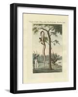 The Way the Blacks in Amerika Skin the Boa-null-Framed Giclee Print