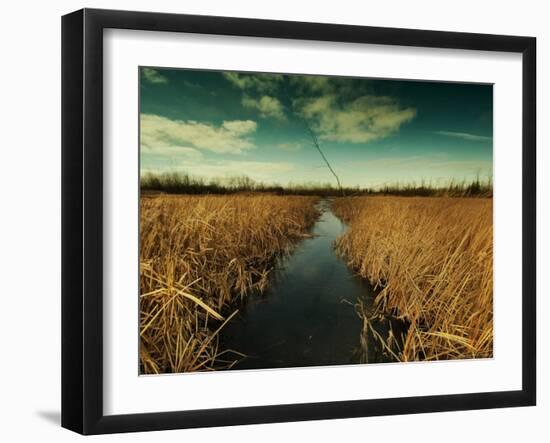 The Way through-Irene Suchocki-Framed Photographic Print