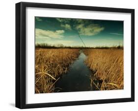 The Way through-Irene Suchocki-Framed Photographic Print