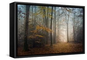 The Way to Nowhere-Philippe Manguin-Framed Stretched Canvas