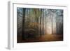 The Way to Nowhere-Philippe Manguin-Framed Premium Photographic Print