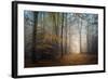 The Way to Nowhere-Philippe Manguin-Framed Photographic Print