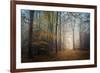 The Way to Nowhere-Philippe Manguin-Framed Photographic Print