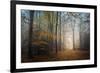 The Way to Nowhere-Philippe Manguin-Framed Photographic Print