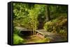 The Way to the Meditation Hall (Dojo) in the Garden of Zen Temple Ryumonji-null-Framed Stretched Canvas