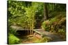 The Way to the Meditation Hall (Dojo) in the Garden of Zen Temple Ryumonji-null-Stretched Canvas