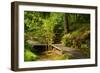 The Way to the Meditation Hall (Dojo) in the Garden of Zen Temple Ryumonji-null-Framed Premium Photographic Print