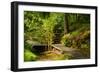 The Way to the Meditation Hall (Dojo) in the Garden of Zen Temple Ryumonji-null-Framed Premium Photographic Print