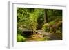 The Way to the Meditation Hall (Dojo) in the Garden of Zen Temple Ryumonji-null-Framed Premium Photographic Print