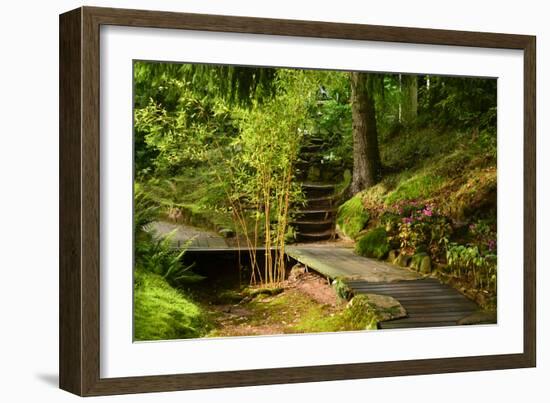 The Way to the Meditation Hall (Dojo) in the Garden of Zen Temple Ryumonji-null-Framed Photographic Print