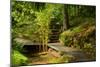 The Way to the Meditation Hall (Dojo) in the Garden of Zen Temple Ryumonji-null-Mounted Photographic Print