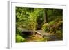 The Way to the Meditation Hall (Dojo) in the Garden of Zen Temple Ryumonji-null-Framed Photographic Print