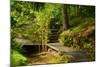 The Way to the Meditation Hall (Dojo) in the Garden of Zen Temple Ryumonji-null-Mounted Photographic Print