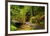 The Way to the Meditation Hall (Dojo) in the Garden of Zen Temple Ryumonji-null-Framed Photographic Print