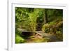 The Way to the Meditation Hall (Dojo) in the Garden of Zen Temple Ryumonji-null-Framed Photographic Print