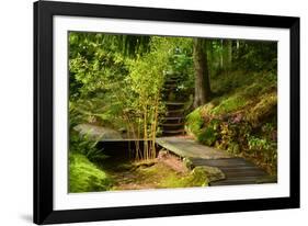 The Way to the Meditation Hall (Dojo) in the Garden of Zen Temple Ryumonji-null-Framed Photographic Print