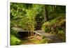 The Way to the Meditation Hall (Dojo) in the Garden of Zen Temple Ryumonji-null-Framed Photographic Print