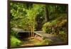 The Way to the Meditation Hall (Dojo) in the Garden of Zen Temple Ryumonji-null-Framed Photographic Print