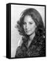 The Way We Were, Barbra Streisand, 1973-null-Framed Stretched Canvas