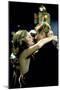 The Way We Were, Barbra Streisand, Robert Redford, 1973-null-Mounted Photo