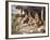 The Weanlings, 1889-Walter Hunt-Framed Giclee Print