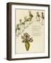 The Wedding Bells -- Bridesmaids with Bouquets-Kate Greenaway-Framed Art Print