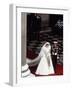 The Wedding of Prince Charles and Lady Diana Spencer on 29th July 1981-null-Framed Photographic Print