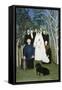 The Wedding Party-Henri Rousseau-Framed Stretched Canvas