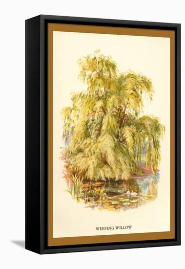 The Weeping Willow-W.h.j. Boot-Framed Stretched Canvas