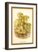 The Weeping Willow-W.h.j. Boot-Framed Art Print