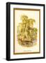 The Weeping Willow-W.h.j. Boot-Framed Art Print