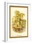 The Weeping Willow-W.h.j. Boot-Framed Art Print