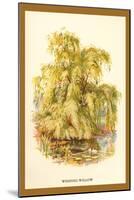 The Weeping Willow-W.h.j. Boot-Mounted Art Print