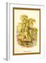 The Weeping Willow-W.h.j. Boot-Framed Art Print