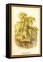 The Weeping Willow-W.h.j. Boot-Framed Stretched Canvas