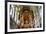 The Weiskirche (White Church), UNESCO World Heritage Site, Near Fussen, Bavaria, Germany, Europe-Robert Harding-Framed Photographic Print