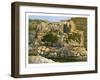 The Well of En-Rogel, Jerusalem, C1870-W Dickens-Framed Giclee Print