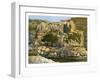 The Well of En-Rogel, Jerusalem, C1870-W Dickens-Framed Giclee Print