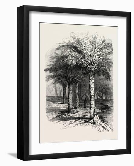 The Well of Moses, Egypt, 1879-null-Framed Giclee Print