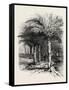 The Well of Moses, Egypt, 1879-null-Framed Stretched Canvas