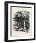 The Well of Moses, Egypt, 1879-null-Framed Giclee Print