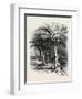 The Well of Moses, Egypt, 1879-null-Framed Giclee Print