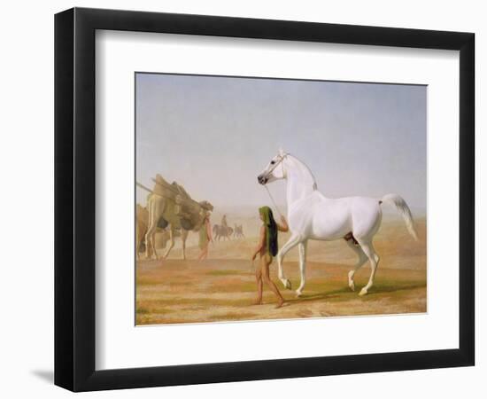 The Wellesley Grey Arabian Led Through the Desert, c.1810-Jacques-Laurent Agasse-Framed Premium Giclee Print