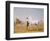 The Wellesley Grey Arabian Led Through the Desert, c.1810-Jacques-Laurent Agasse-Framed Premium Giclee Print